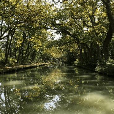 Canal du Midi